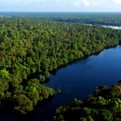 7. CAGAR BIOSFER GIAM SIAK KECIL-BUKIT BATU