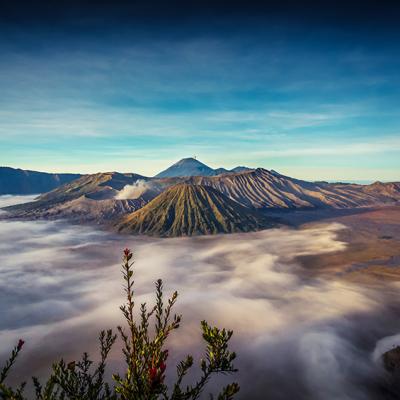 9. CAGAR BIOSFER BROMO TENGGER SEMERU-ARJUNO