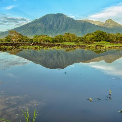 11. CAGAR BIOSFER BELAMBANGAN