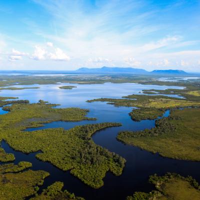 Cb Bkds 48 Sentarum Lake 2