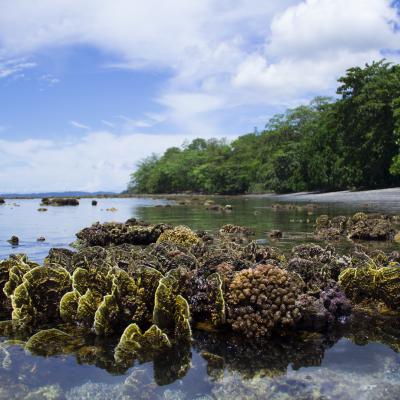 Batu Putih Nature Park