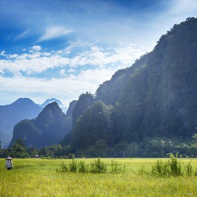 Photo 10. Leang Leang Kamajaya Shagir