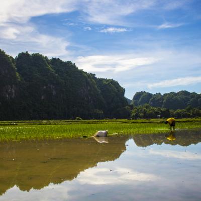 Photo 6. Masyarakat Memanfaatakan Air Yang Berasala Dri Tn Babul