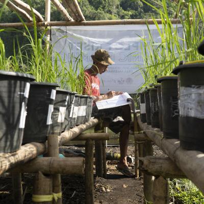 Riset Pertanian Organik Di Berua