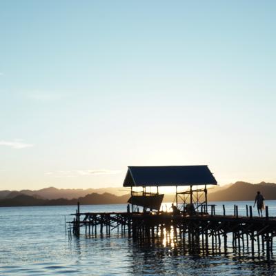 Figure 11 The People Of Raja Ampat Fishing In Wooden Pier